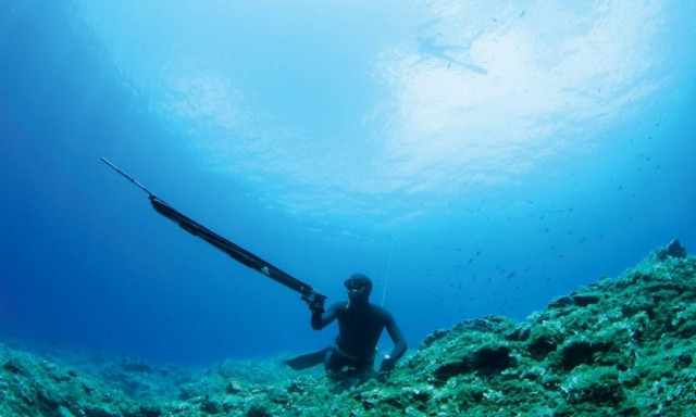 Βόλος: Ψαροντουφεκάς χρησιμοποιούσε για δόλωμα… χλωρίνη!