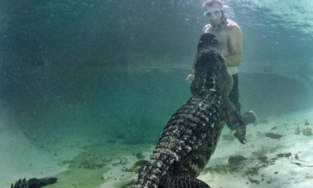 Ο Ταρζάν και η Τζέιν στη σύγχρονη εκδοχή τους (photos)