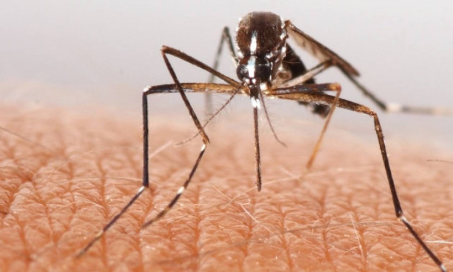 Μέχρι σήμερα, Σάββατο (01/08) οι ψεκασμοί από αέρος για τα κουνούπια στο Δήμο Δέλτα