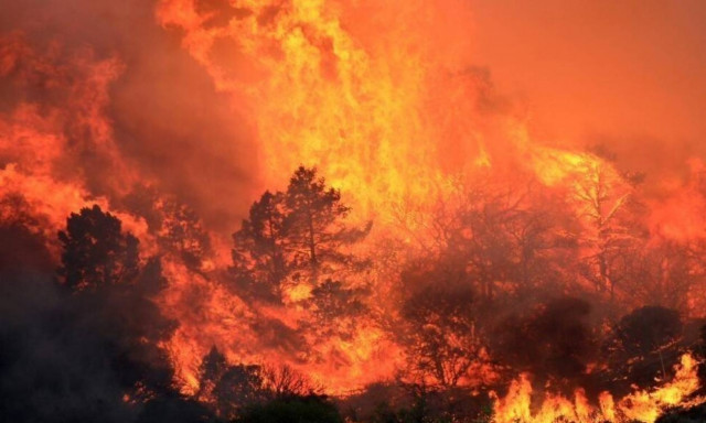 Στο έλεος της πυρκαγιάς η Καλιφόρνια – Ένας πυροσβέστης νεκρός