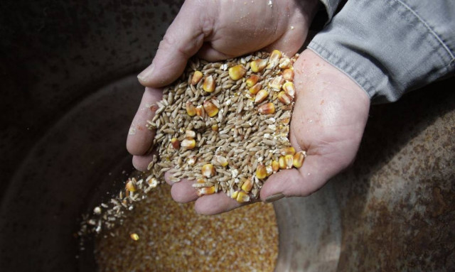 Δέσμευση 40 τόνων ζωοτροφών στον Πειραιά