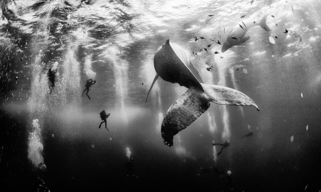 Νational Geographic: Oι φωτογραφίες της χρονιάς!