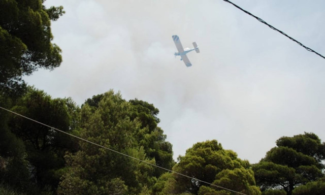 Χειροπέδες για εμπρησμό στην Αιτωλοακαρνανία