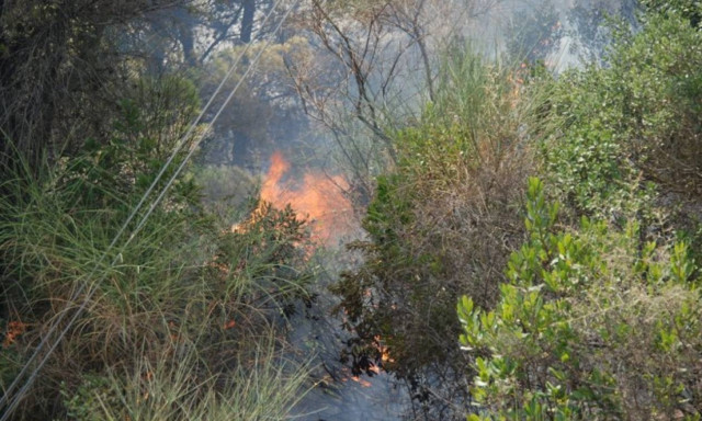 Πυρκαγιά στο Καρούσι Καλαβρύτων