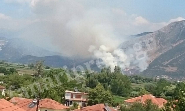 «Συναγερμός» στην Πυροσβεστική - Πυρκαγιά στην Πάργα (photos)