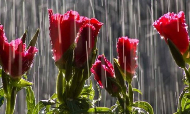 Άστατος ο καιρός: Σε ποιες περιοχές θα βρέξει;