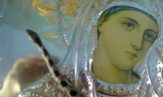 Κεφαλονιά: Η ιστορία πίσω από το θαύμα με τα φιδάκια της Παναγίας (video)