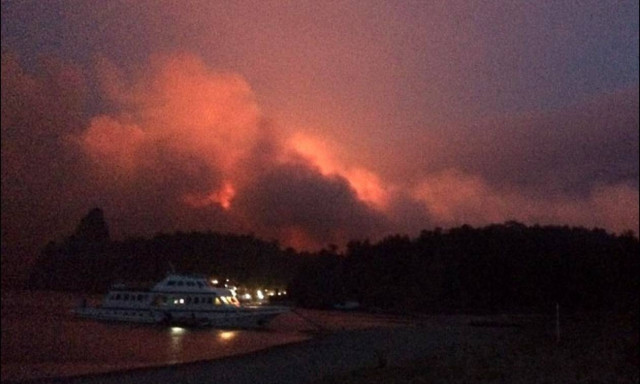 Ρωσία: Τεράστιες δασικές εκτάσεις παραδομένες στις φλόγες (video)