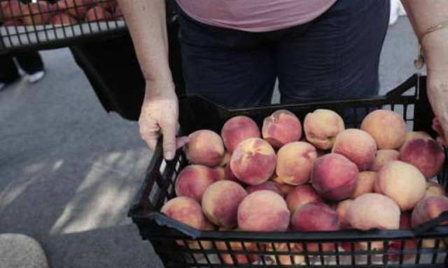 Εμπάργκο της Ρωσίας στις εισαγωγές από 4 ακόμα χώρες
