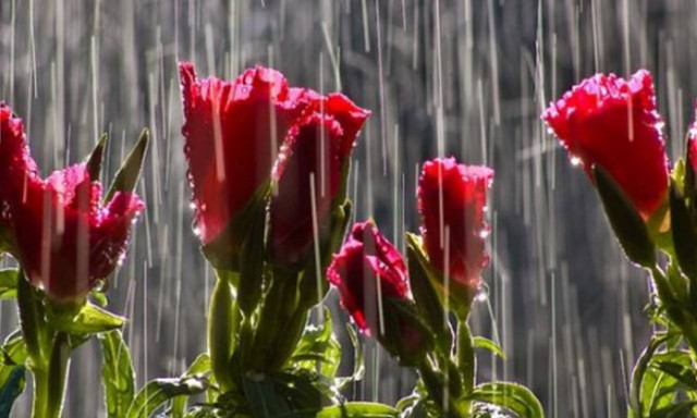 Καιρός: Βροχερό το σκηνικό και τον Δεκαπενταύγουστο