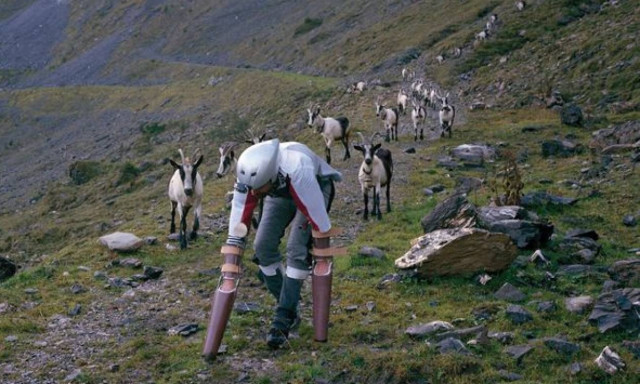 Βρετανός τα… βρόντηξε ως άνθρωπος και έγινε… κατσίκα! (photos)