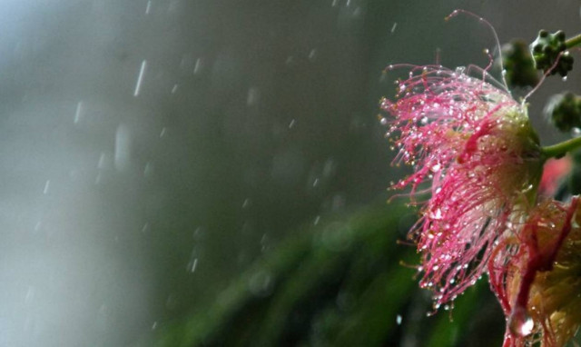 Καιρός: Βροχερό το σκηνικό του καιρού - Παραμένει στο «κόκκινο» ο υδράργυρος