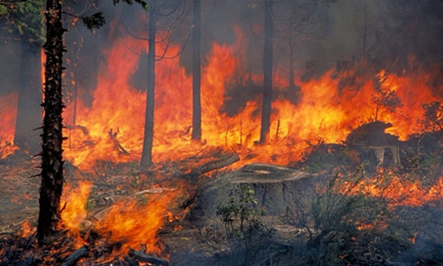 «Συναγερμός» στην Πυροσβεστική - Φωτιά στη Ρόδο