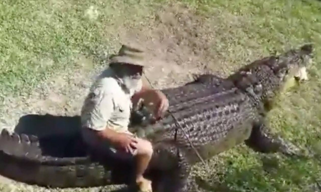 Γνωρίστε το γητευτή κροκοδείλων που δεν διστάζει να τους… ιππεύσει! (video)