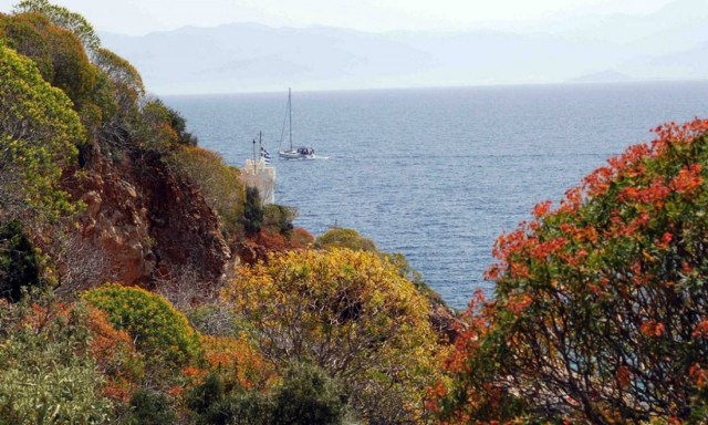 Καλός και ζεστός ο καιρός της Τρίτης (pics)