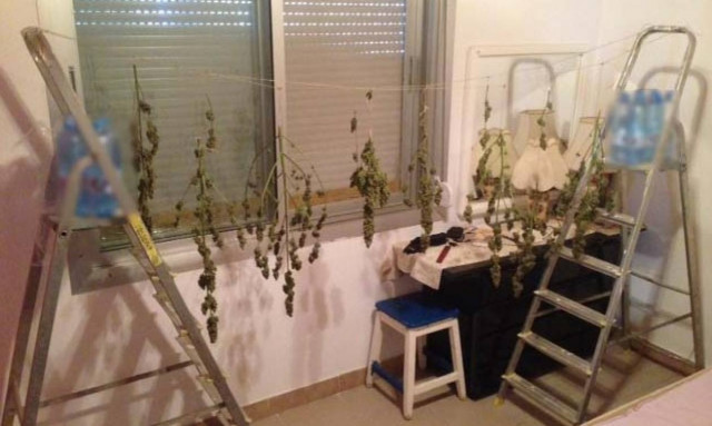 Συνελήφθη 51χρονος για καλλιέργεια κάνναβης και κατοχή αρχαίων αντικειμένων (photos)