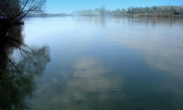 Ύποπτα κρούσματα οζώδους δερματίτιδας στον Έβρο