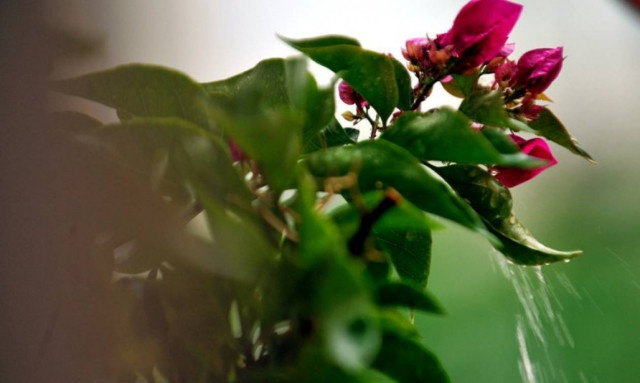 Καιρός: Κυριακή με ανάσα δροσιάς και βροχές