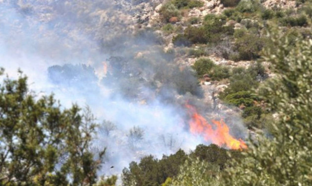 Σε εξέλιξη η πυρκαγιά στην Κεφαλονιά