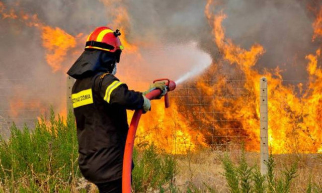 Κέρκυρα: Υπό έλεγχο η πυρκαγιά στην περιοχή Λιβάδι
