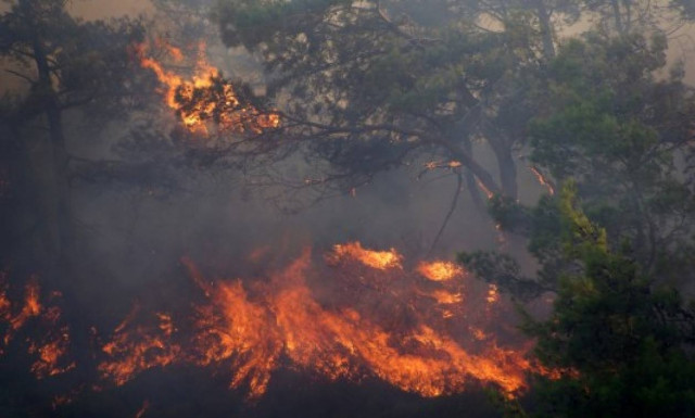 Κέρκυρα: Υπό μερικό έλεγχο η φωτιά στο Λιβάδι