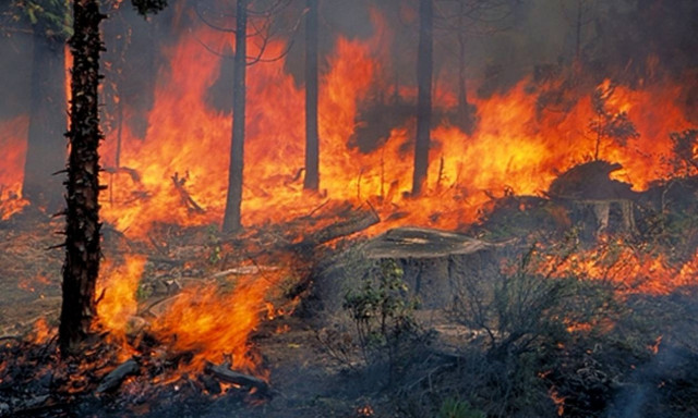 Σε ποιες περιοχές προβλέπεται πολύ υψηλός κίνδυνος πυρκαγιάς την Τετάρτη