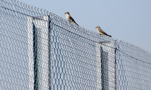 Ένα φράχτη μήκους 110 χλμ. στα σύνορά με τη Ρωσία σχεδιάζει η κυβέρνηση της Εσθονίας