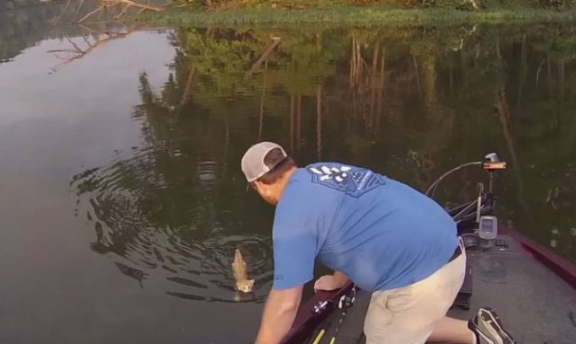 Πήγε για ψάρεμα και ... έπιασε δύο γάτες (video)