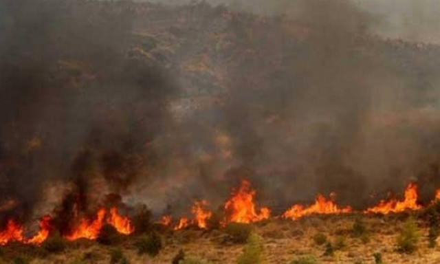 Πάφος: Αρχίζει η καταγραφή ζημιών από τις πυρκαγιές