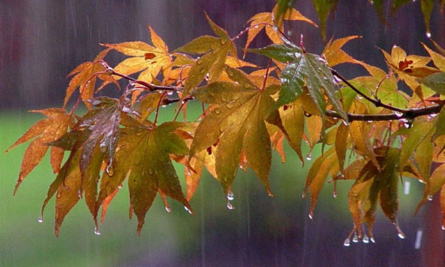 Καιρός: Αλλάζει το σκηνικό τη Δευτέρα (7/9) - Έρχονται βροχές και καταιγίδες