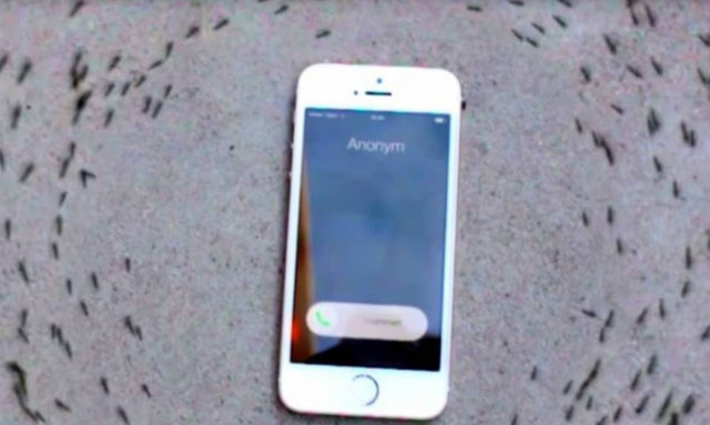 Μυστηριώδες βίντεο: Γιατί αυτά τα μυρμήγκια κάνουν κύκλους γύρω από ένα κινητό;