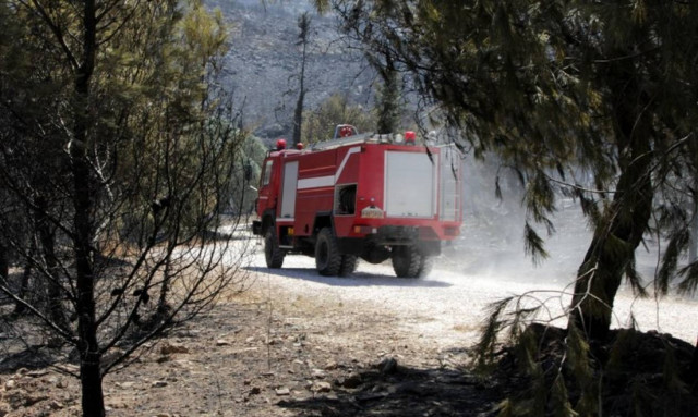 Θεσσαλονίκη: Υπό μερικό έλεγχο η φωτιά στο Σοχό