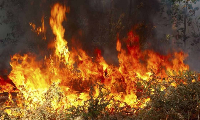 Strong winds hindering efforts to put out blaze in Corfu