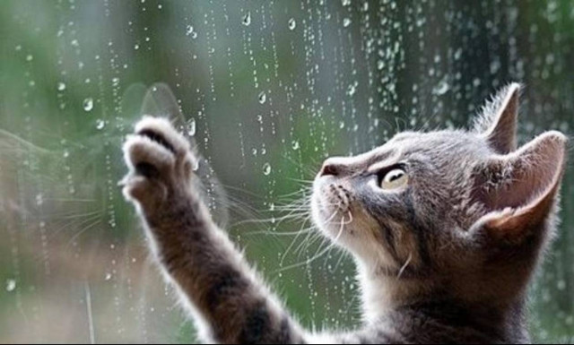 Καιρός: Μπήκε για τα καλά το Φθινόπωρο - Ισχυρές βροχές και καταιγίδες την Πέμπτη (9/9)