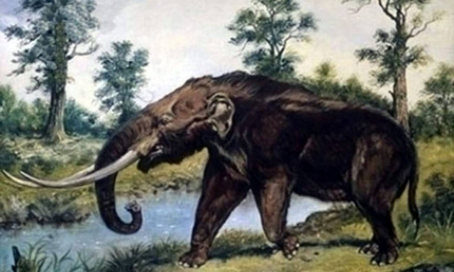 Μεγαλόπολη Αρκαδίας: Εντοπίστηκε σκελετός ελέφαντα της Κατώτερης Παλαιολιθικής Περίοδου (pic)