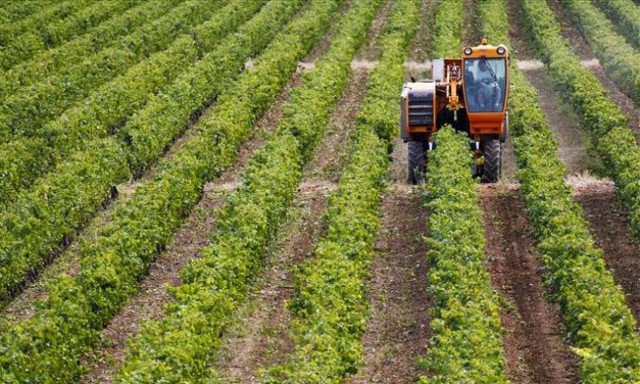 Με 2,3 εκατ. ευρώ ενισχύεται ο ελληνικός αγροτικός τομέας