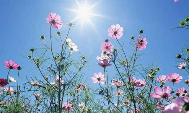 Καιρός: Αντιστέκεται το φθινόπωρο - Άνοδος της θερμοκρασίας την Πέμπτη (17/9)