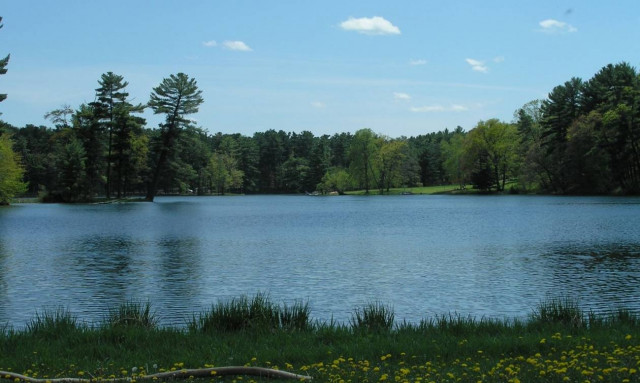 Πανικός στην Αγγλία - «Ανθρώπινο πόδι» επέπλεε στο νερό