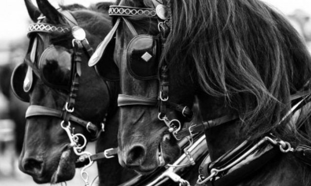 Δήμος Λεμεσού: Μεσαιωνικό πανηγύρι στις 27 Σεπτεμβρίου