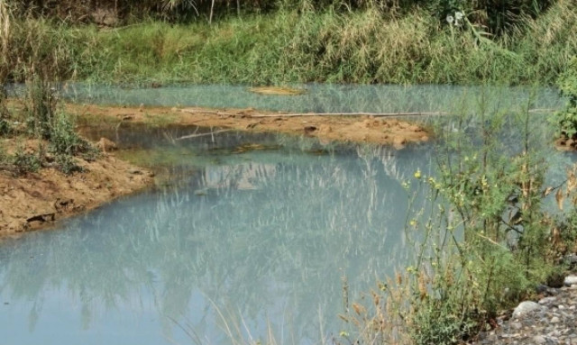 Χανιά: Περιβαλλοντική καταστροφή στον Ταυρωνίτη - Δυσοσμία, νεκρά ψάρια και λύματα (pics)