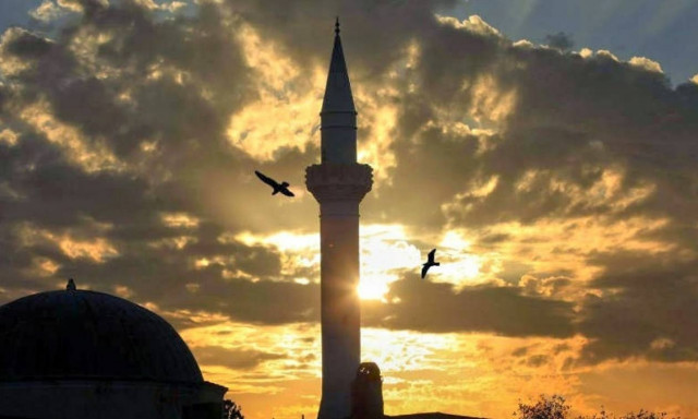 Ιμάμης αρνήθηκε χειραψία με γυναίκα-πολιτικό