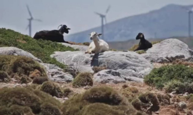 Η Κρήτη… αλλιώς: Η ομορφιά της φύσης και των ανθρώπων μέσα από τα μάτια ενός ξένου (video)