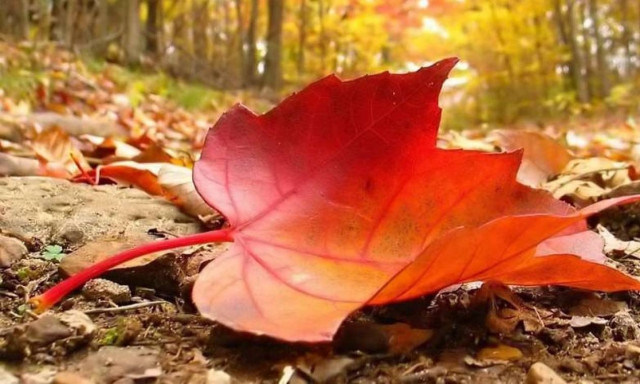 Καιρός: Φθινοπωρινό σκηνικό – Σε ποιες περιοχές η θερμοκρασία θα παρουσιάσει σημαντική πτώση