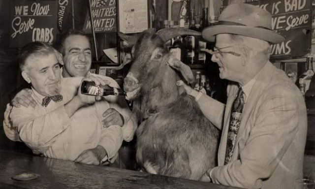 Σαν σήμερα το 1945 η «Κατάρα του Τράγου»