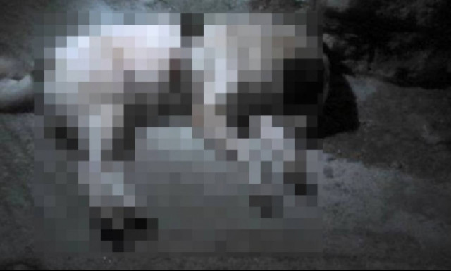 Δράμα: 59χρονος παραπέμπεται στον Εισαγγελέα για ζωοκτονία