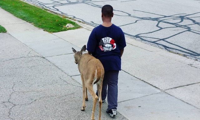 Τυφλό ελαφάκι βρήκε στοργή δίπλα σε έναν 10χρονο