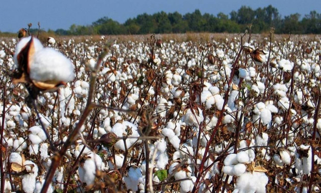 Σέρρες: Εξιχνιάστηκαν περιπτώσεις απάτης σε βάρος αγροτών