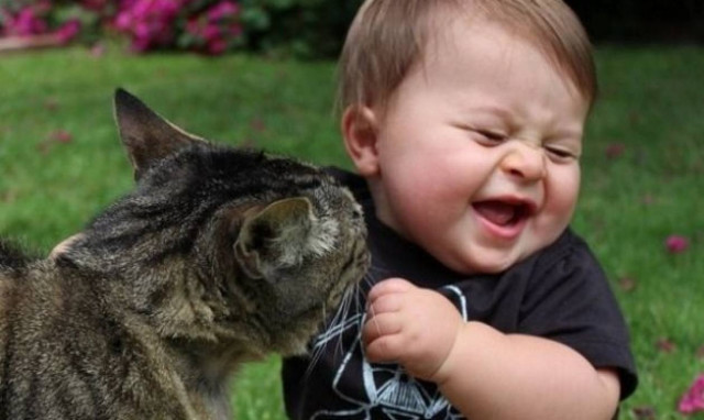 Αξιολάτρευτο: Δείτε πώς μια χαριτωμένη γάτα αγκαλιάζει και παίζει με ένα μωρό (βίντεο)