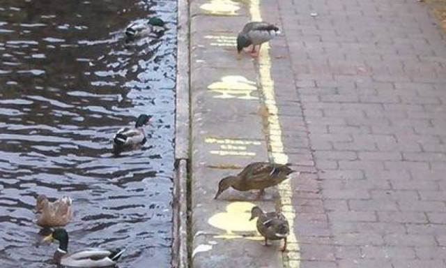 Οι δρόμοι στη Βρετανία έχουν πλέον και παπιολωρίδα (pics & video)!