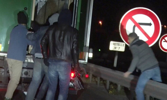 Μετανάστες μπήκαν «παράνομα» στο πίσω μέρος φορτηγού και ήρθαν τετ α τετ με πολική αρκούδα (video)